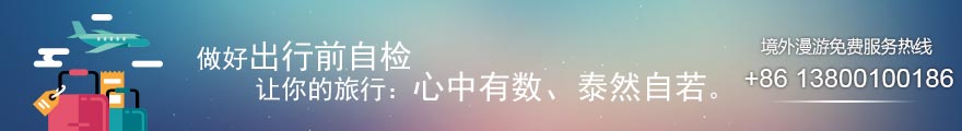 出境自检 清单