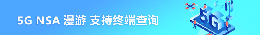 5G NSA漫游